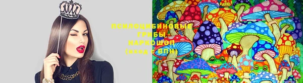 наркотики Абаза