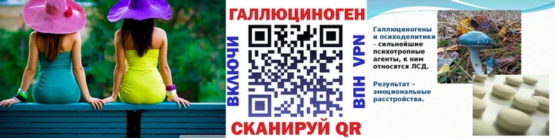 Псилоцибиновые грибы Psilocybine cubensis  Приволжский 